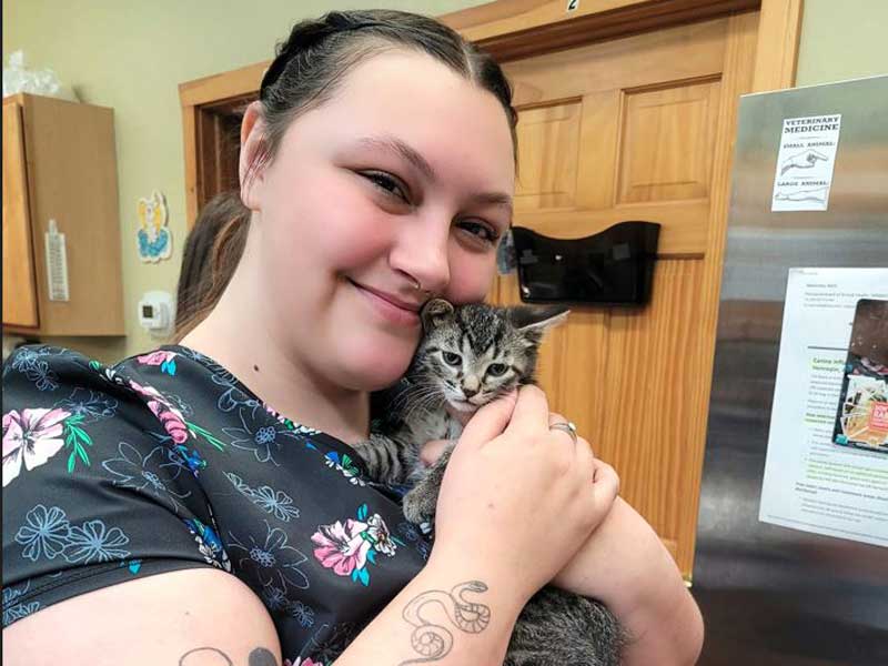 Veterinary Jobs in Lexington