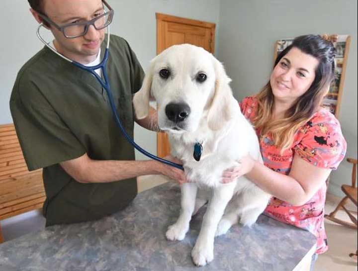 Preventive Care for Dogs