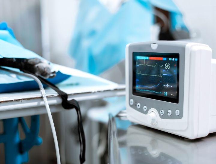 Anesthesia and Patient Monitoring